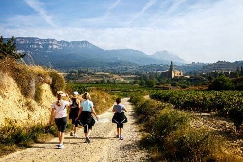 Spain Private Guided Wine Country Trail Walk