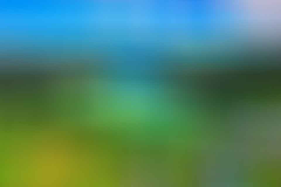 A vibrant lake surrounded by lush green hills, wildflowers, and hydrangeas under a partly cloudy blue sky.