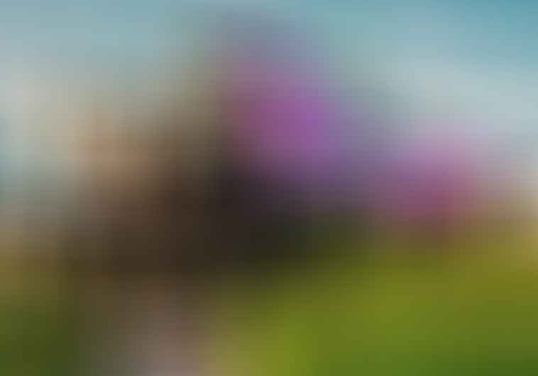 A modern building with undulating metal surfaces, including shiny silver and purple panels, set among greenery under a cloudy sky.