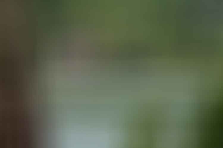 A stone church stands by a lush lakeshore, with dense trees in the background and a small boat floating on the water in the foreground.