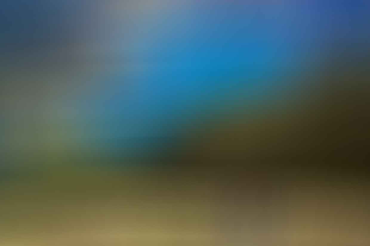 Two hikers stand on a grassy hillside overlooking a blue lake surrounded by green mountains and a forested peninsula.