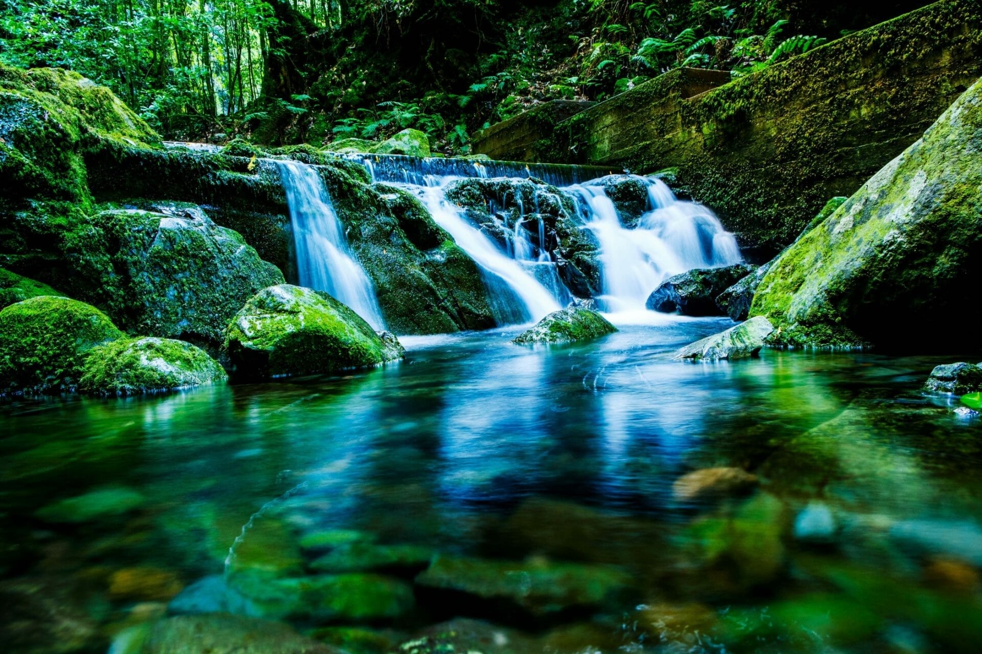 Small waterfall flows over mossy rocks into a clear, shallow pool in a forested area, surrounded by lush greenery and ferns.