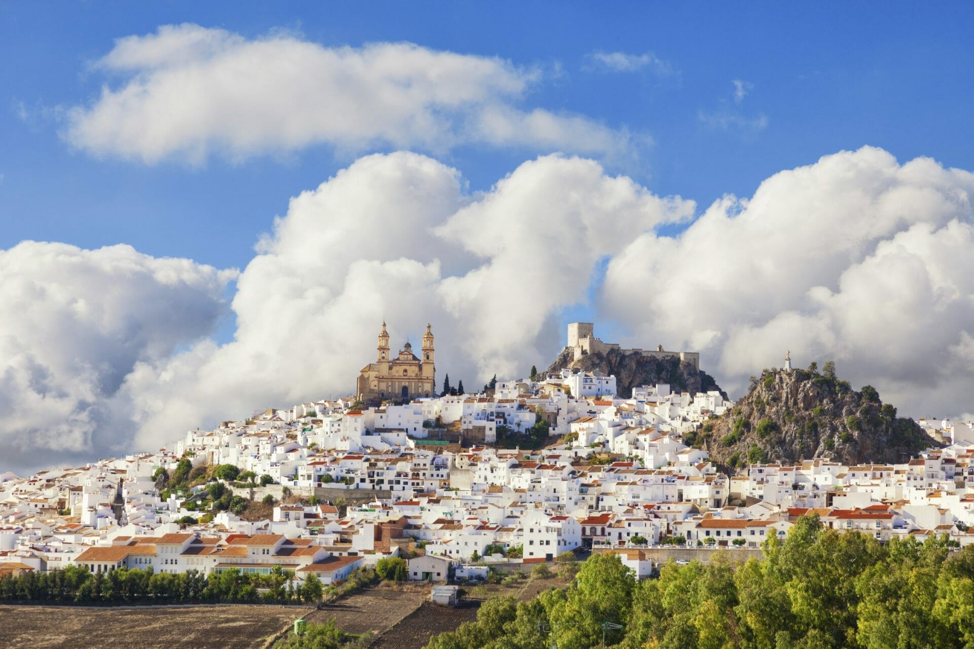 Panoramic Of Olvera Town, Spain