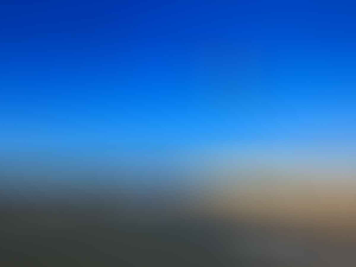 Seagulls flying over a rocky shoreline with ocean waves and a coastal town under a clear blue sky.