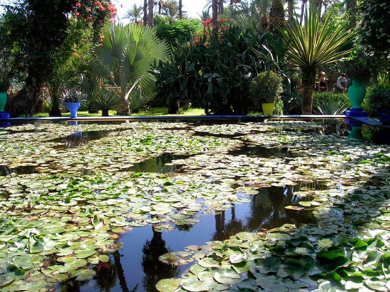 Jardin Majorelle Marrakech