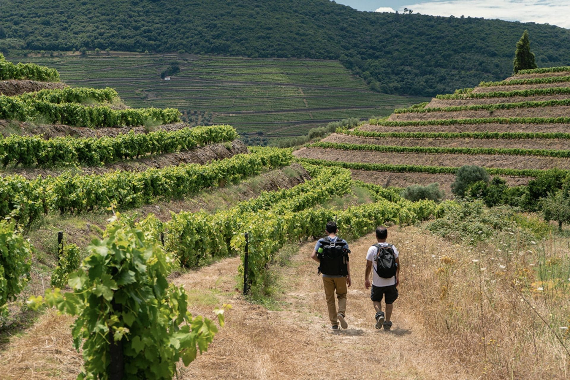 trail walk portugal spain vineyard hike