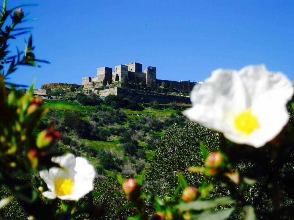 portugal private tour - castle