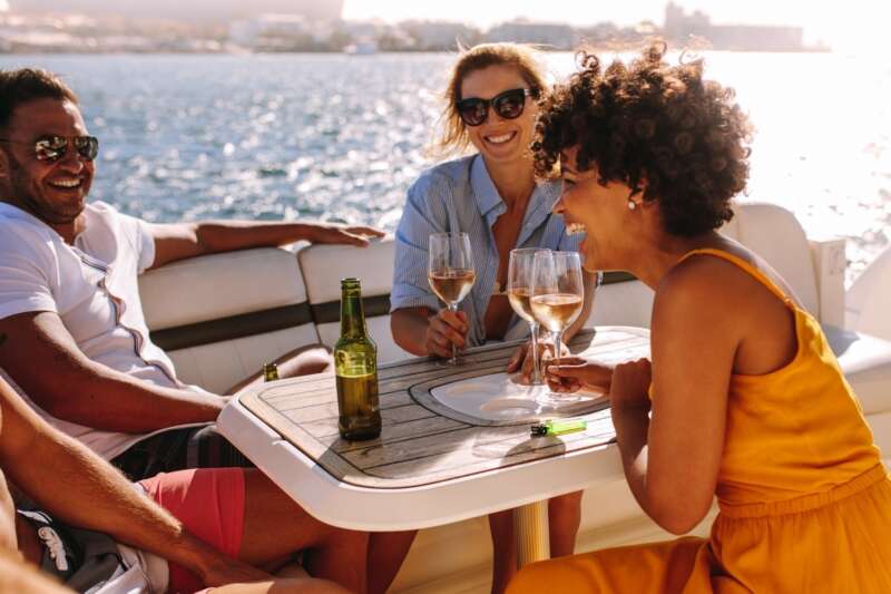 Flywire Dmc Stag Image