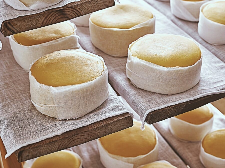 torta de casar cheese - extremadura, spain