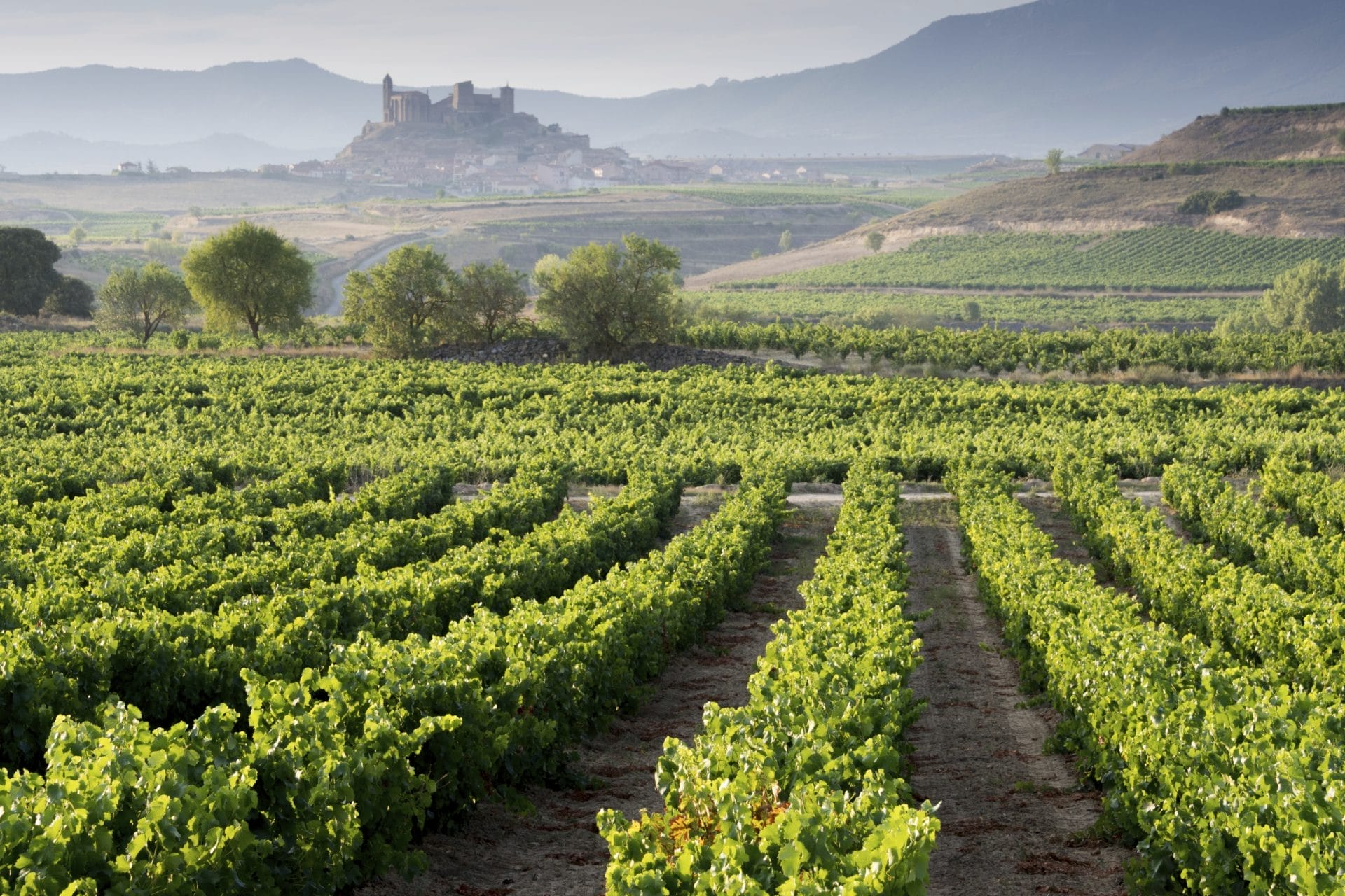 luxury spain portugal wine tour travel - castles