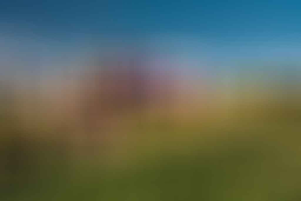 Spain Luxury Vacation Private Tour