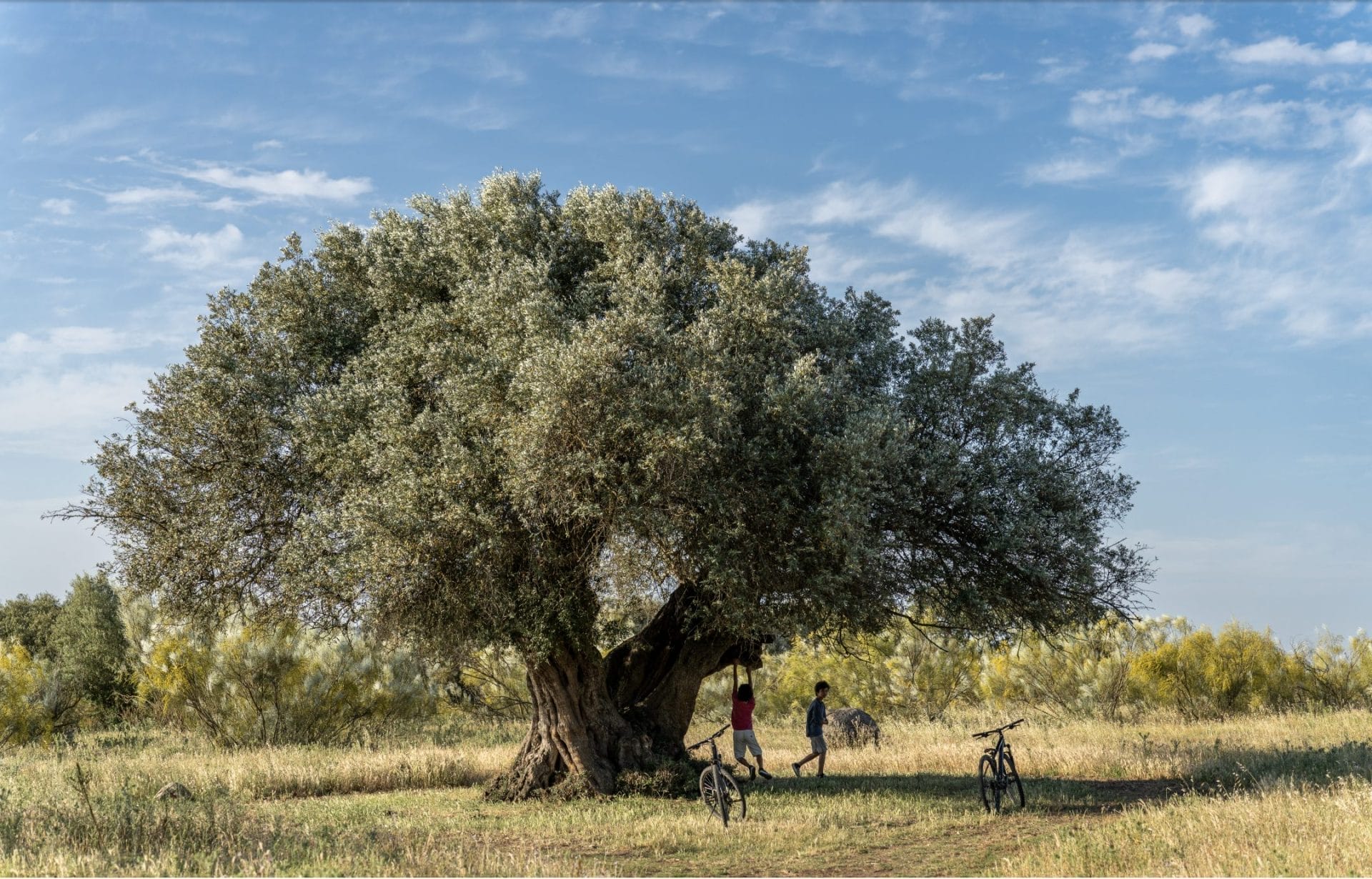 Extremadura alentejo