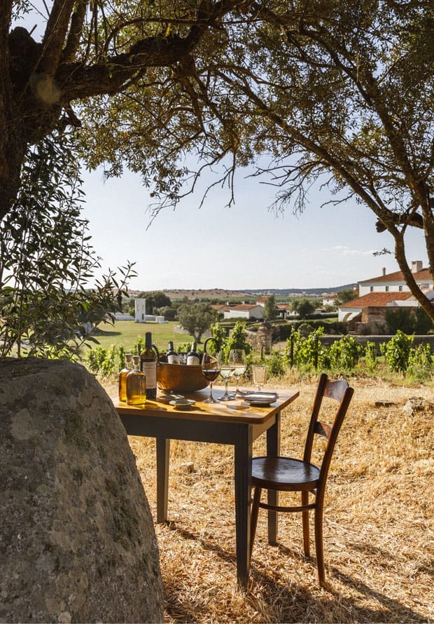 Table set under an oak tree beside a vineyard in Portugal