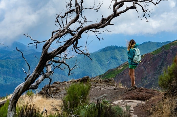 A person with a backpack stands on a rocky trail, gazing at distant mountains under a cloudy sky beside a leafless tree—perfect inspiration for Spain, Portugal & Morocco Multi-Country Private Luxury Tours.