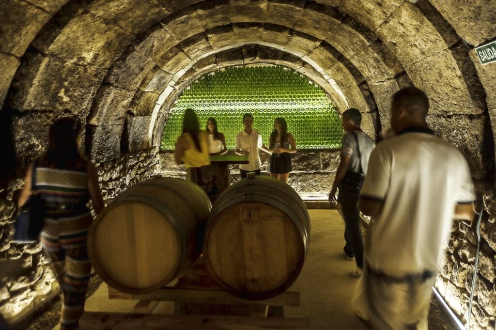 Visitors touring a vaulted barrel cellar during the harvest, La Rioja, Spain